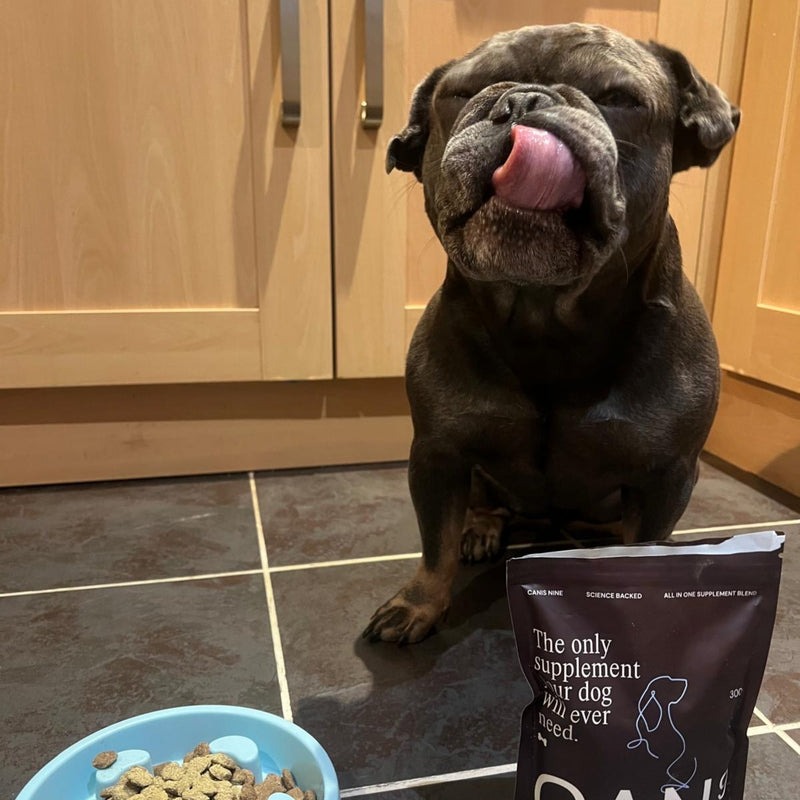 Works with any dog, any diet, any age