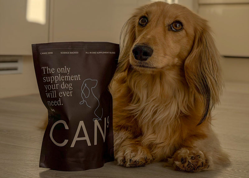 Works with any dog, any diet, any age
