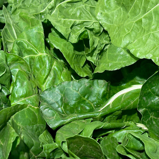 Folic Acid (Vitamin B9)