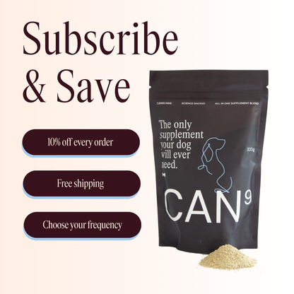 CAN9 All-in-One Dog Supplement - Big Dog Bundle: 2 × 300g Pouches
