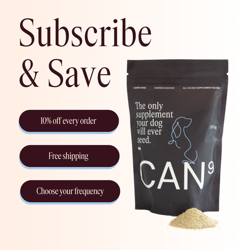 CAN9 All-in-One Dog Supplement - Big Dog Bundles