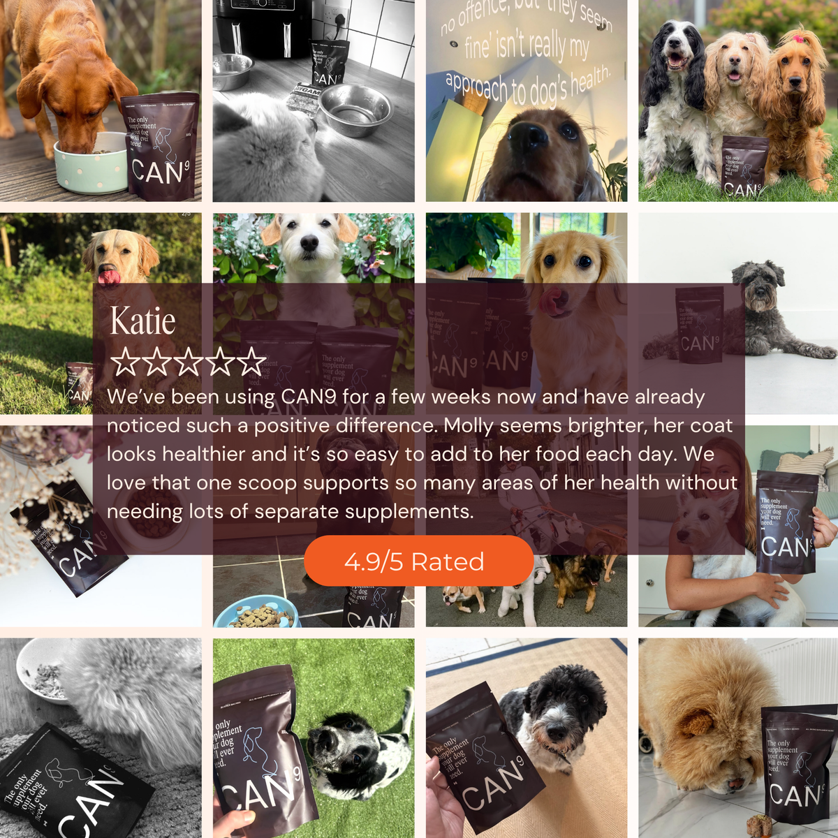 CAN9 All-in-One Dog Supplement - Big Dog Bundle: 2 × 300g Pouches