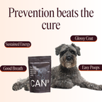 CAN9 All-in-One Dog Supplement - Big Dog Bundles