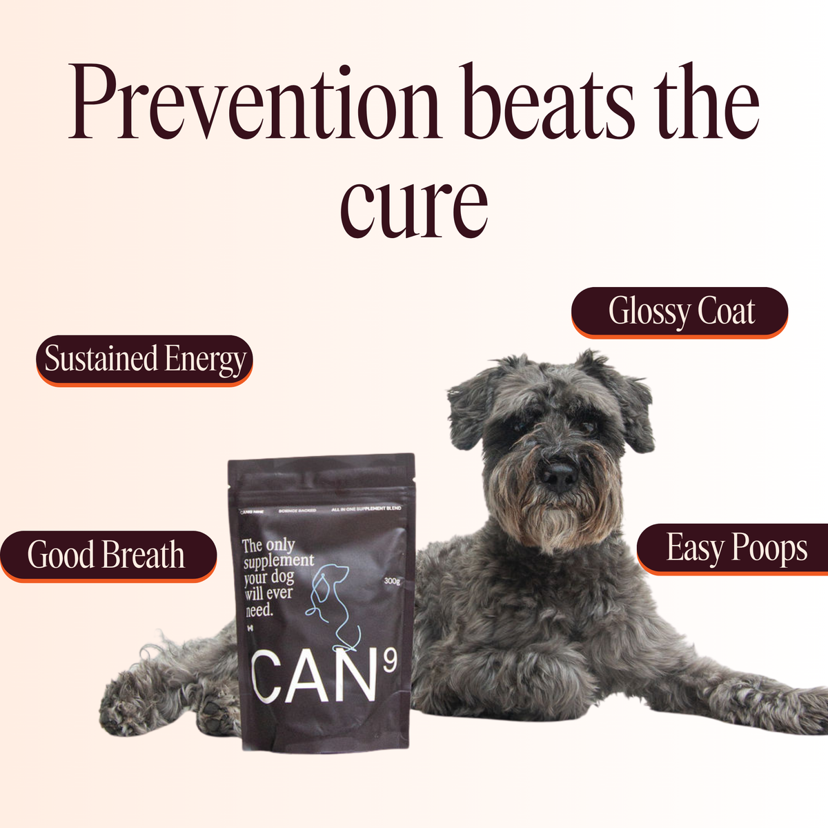 CAN9 All-in-One Dog Supplement - Big Dog Bundle: 2 × 300g Pouches