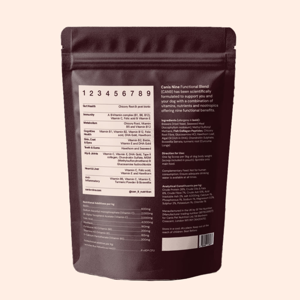 CAN9 Big Dog Bundle (2 x 300g pouches)