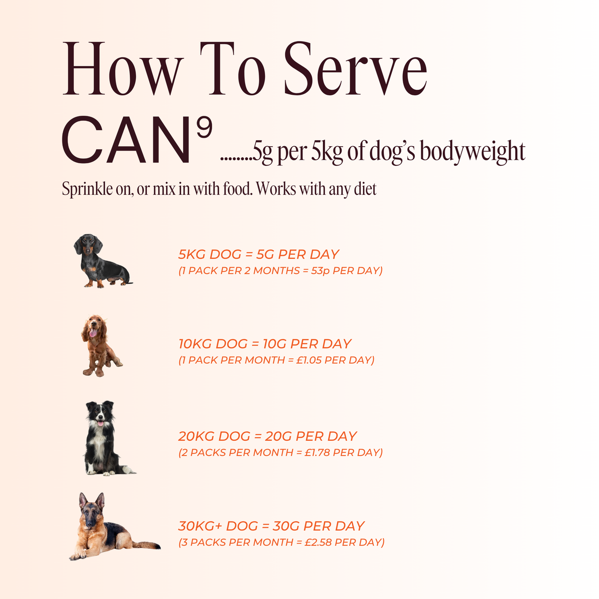 CAN9 All-in-One Dog Supplement - Big Dog Bundle: 2 × 300g Pouches