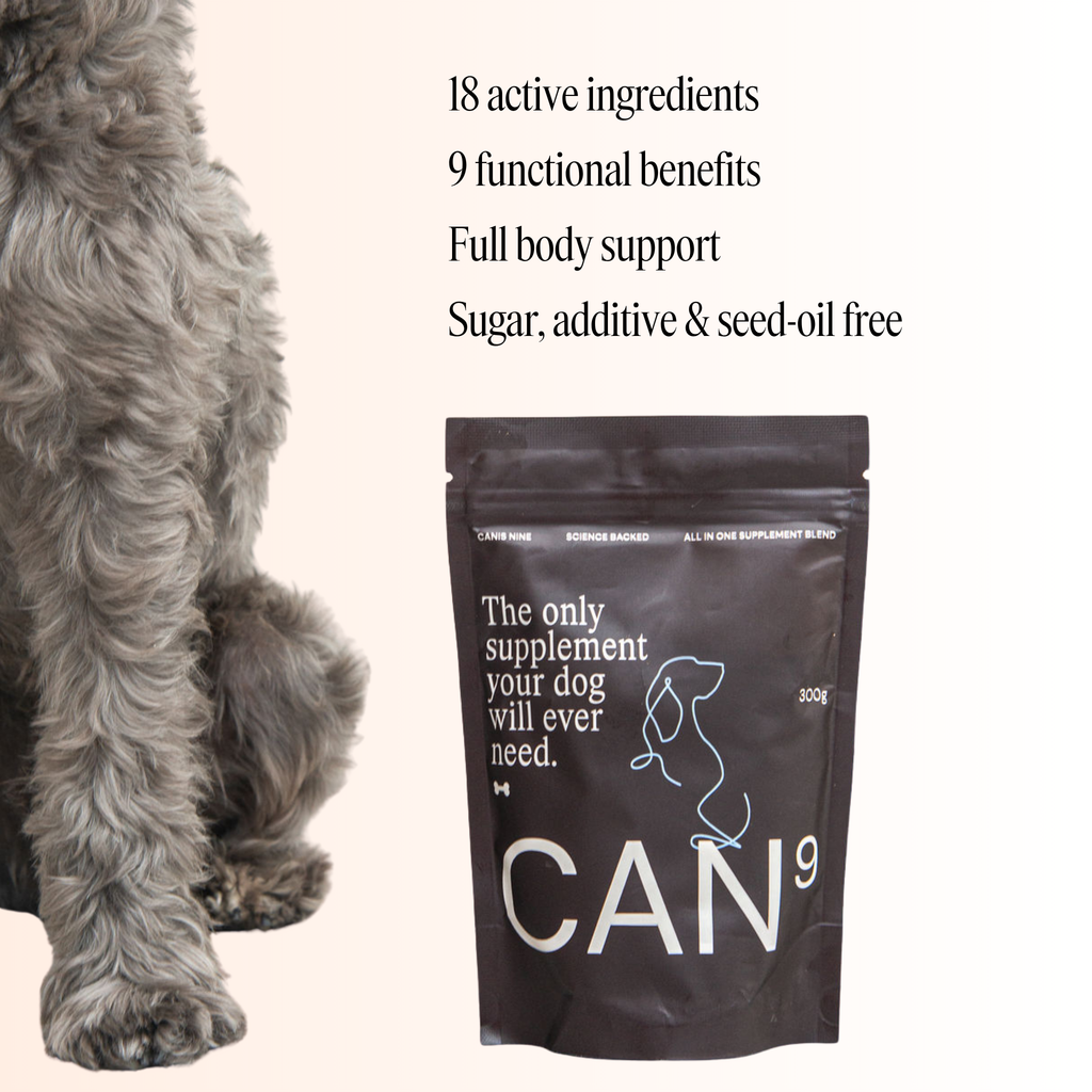 CAN9 All-in-One Dog Supplement - Big Dog Bundles