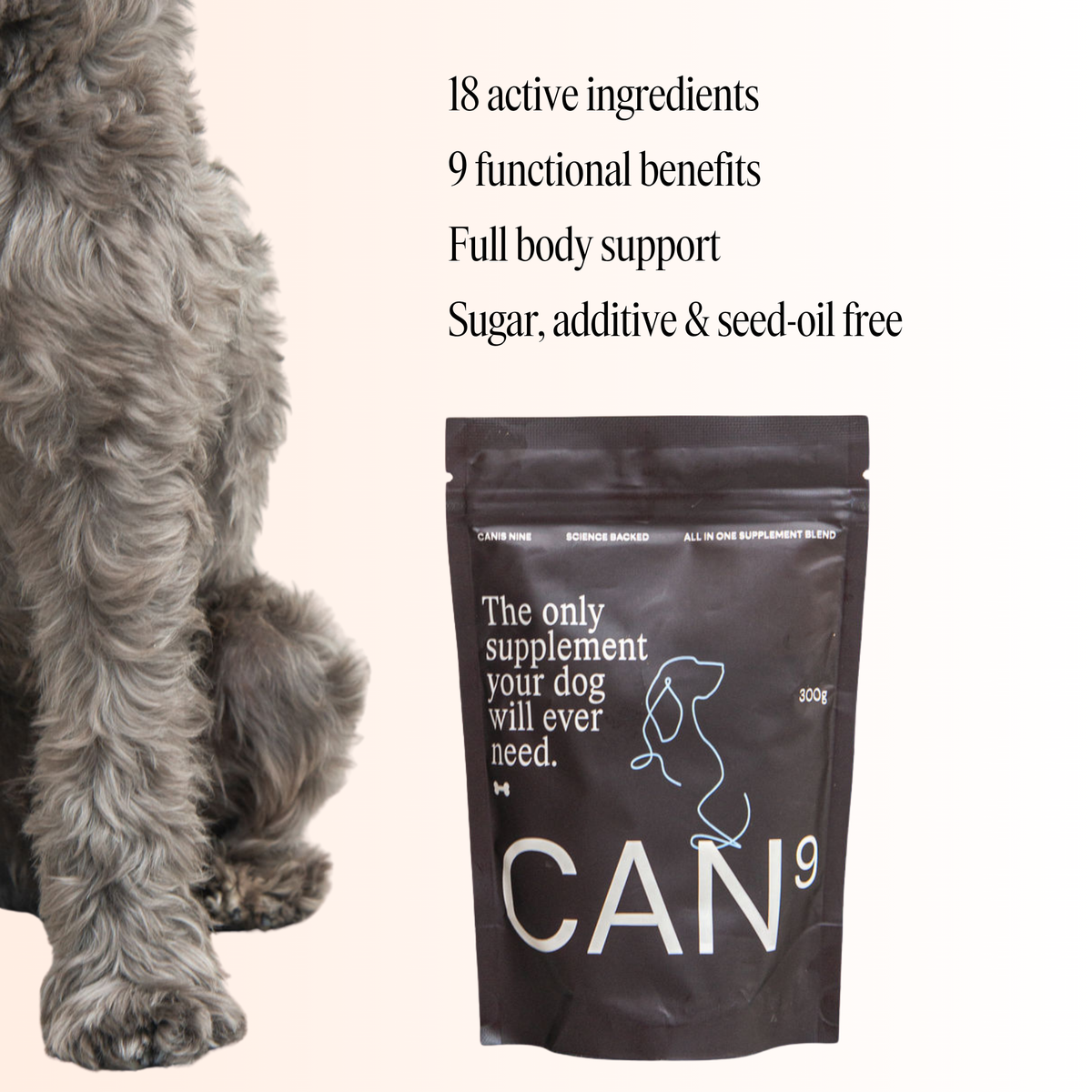 CAN9 All-in-One Dog Supplement - Big Dog Bundle: 2 × 300g Pouches
