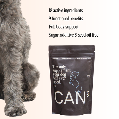 CAN9 All-in-One Dog Supplement - Big Dog Bundle: 2 × 300g Pouches