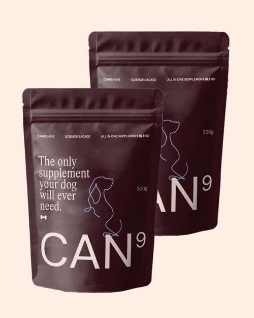 CAN9 - Big Dog bundle (2 x 300g pouches)