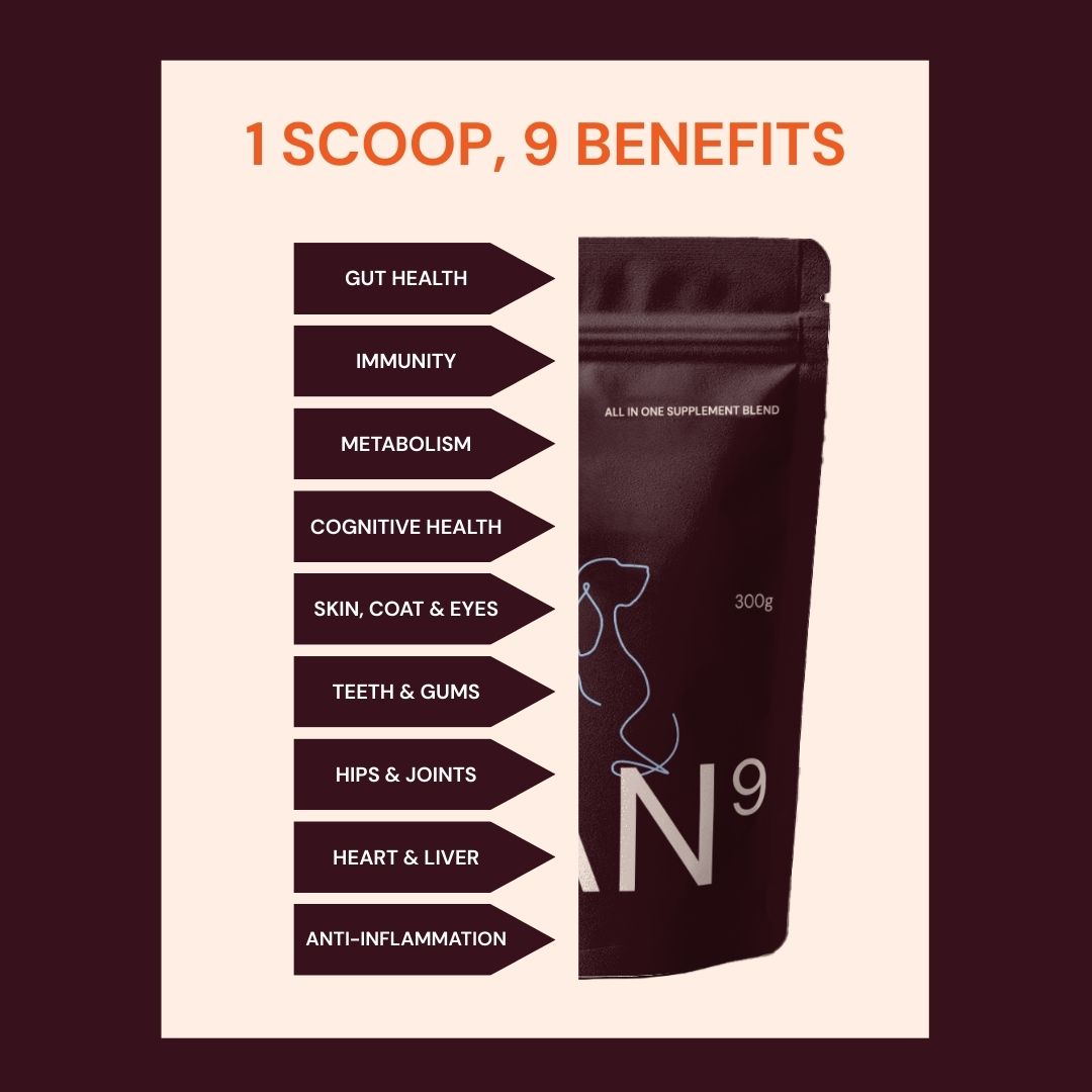 supplement with 9 functional benefits for dogs