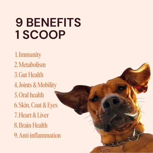 CAN9 Daily Dog Supplement - 300g Pouch