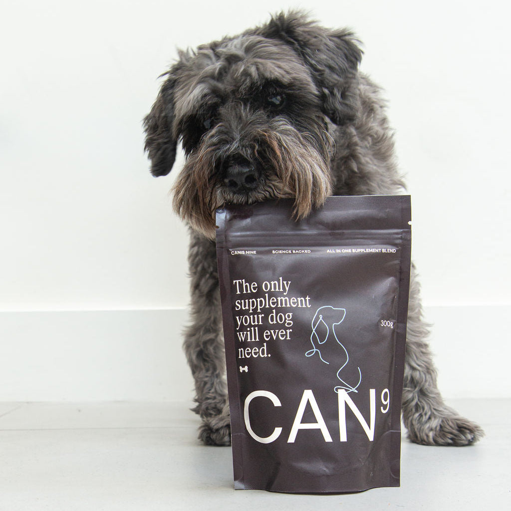 CAN9 All-in-One Dog Supplement - Joint, Gut, Coat, Immune Support & More: 10g Sample