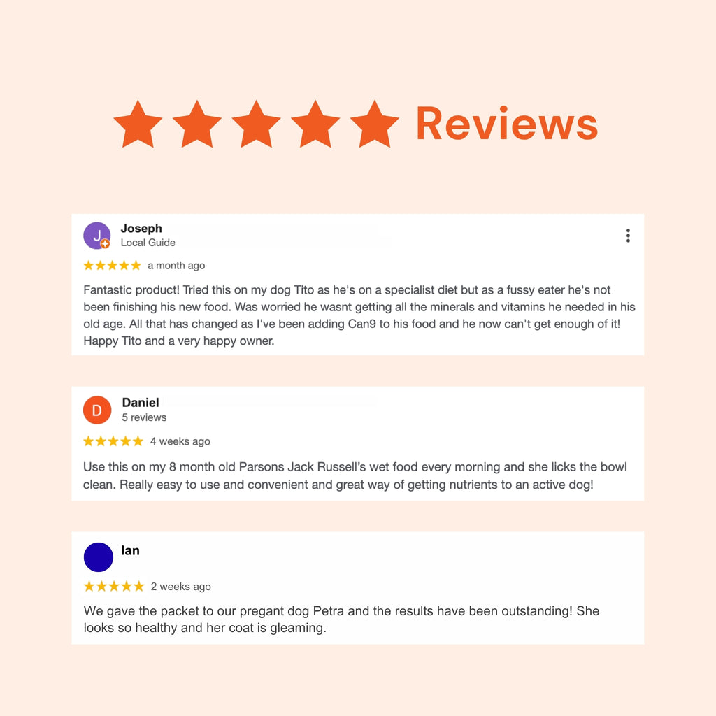 CAN9 Big Dog Bundle (2 x 300g pouches)