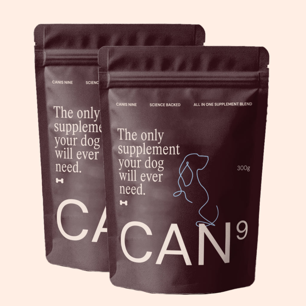 CAN9 Big Dog Bundle (2 x 300g pouches)