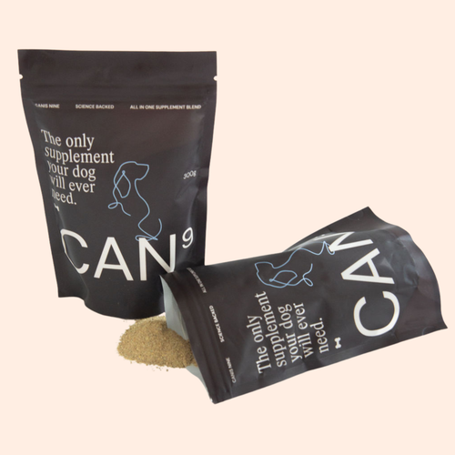 CAN9 All-in-One Dog Supplement - Big Dog Bundle: 2 × 300g Pouches