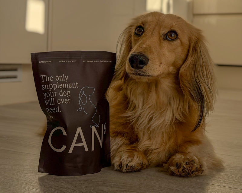 Works with any dog, any diet, any age